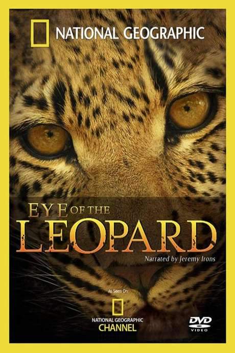 Eye of the Leopard